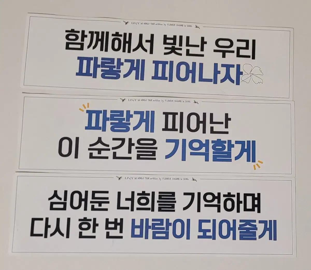 루시 플라워콘 앙콘 종이 이벤트 슬로건 일괄